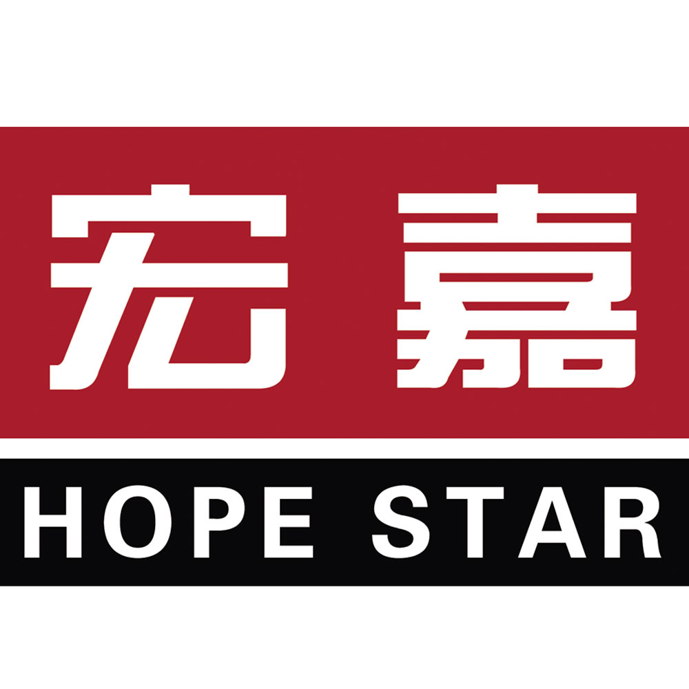 山东宏嘉工程造价咨询事务所有限公司