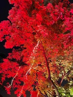 4001ba9df4b05a3f4bf1ac689562c7109c10f2ce