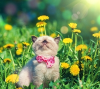 Fb630d8643a963ce79368845f5cd16ddf64499e2