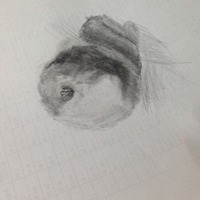 C68112341eff59169e0d337624403ba85a939e7e