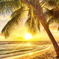 62a19ddcf12581f3e145f8466202005cf65bfc96