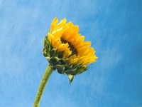 0a8e2c60fd814e1458f1d639eb65243f0fac1df3