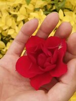 9d91f4a2e0fc4142a496bfb9c3d5ffc068aa0454