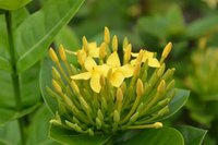 A927be24044c3b27b86cdb2d23989c3cf555a221