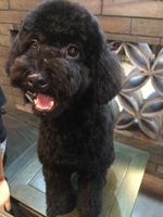 7ed07f9286dc0fb2fa294fd55b6c40c35dd94ba1