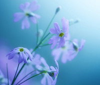 8f6817039b14945655dfe527afb1f7a3a9a915fd