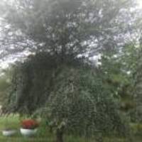 5224a07371e0810d713ac3ef1a06ae75724178aa