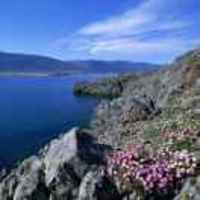 D467016bb901ef00df9e91697644c808891716bc