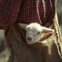 4c49e21297909b560bd5bf10d8fada240f12c248