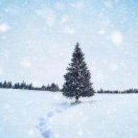 759b6320d63efb6ebe7bb88d0acd479401172d8d