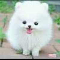 3db489da2bec319cb4f7c2c99f8da7d8bd2c8661