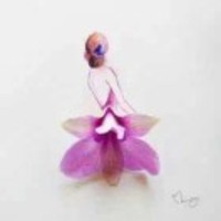 9c13a5d74c0d9eca90afd7bd8a5370ca300c7954