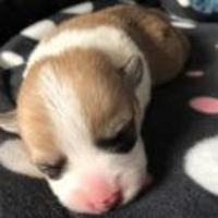 F304d0f82d0c133f1c15abdfbcc99a1dc79db601