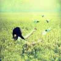 A59cbd6c74888fc5efe9cf09d2111489eaf34cdd