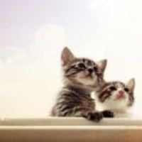 C405a83bf1364454d57e85b840acf22c2d45213c