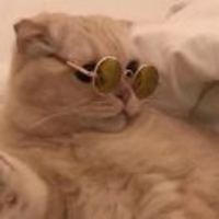 C4e156c1c2dba95c823f95a11cae99840c4b02dd