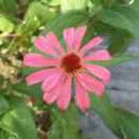 Afdd3b7aba2ff50770a2cf064084d45cd6a9073a