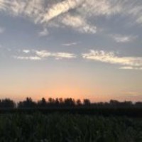 D44cb2b422b1cff93e38d8d43c522f4f68af94ac