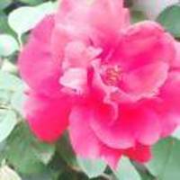 C86691d73e6512f5e14d53043268a76a40f4cadf