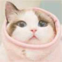 8d5f041df9189341a8042c212d0c1ca0320e3fdb