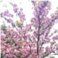 Ac46047a3cebbf87a1d9e3155d0241ad5c2ae90b