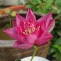 0139789cf54f097166240c08e4e95364e3eb9506