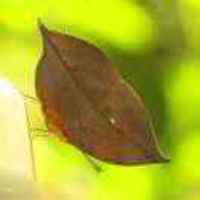 09edf14f5a0c3a6817c3c3c279fed3db5ffef954