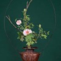 Db4c84025b20dda53db6e48fb237ed2484b526fa