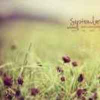 4a3f8099d9b4c8248928dbcc8068058831b1275f