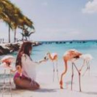 0de2987f0e5ea8c2258a82ba92ea7bed08505891