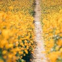 6e1a875134410737ff8e6f4f67a5c2e4d412172f