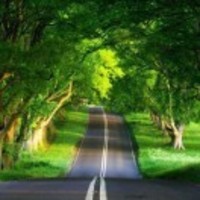 B1fca52af81be3e6c8bd0ce0d67cfd66398be5a3