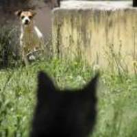 0a97945cae2a190c86f8c2b92d265dd662acc540