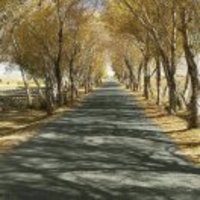 Bac2952b176e4c27b2c7c1a45d70ddc5a9805807