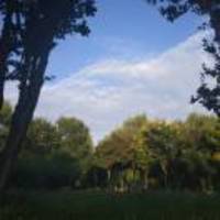 C91dd6a23fd4ca835f35d7f3676fcff63af8ffe4