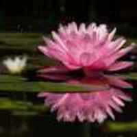 A957a6ff5868ae7c381a7dc118898b2b5b17c811