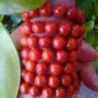 8773972d242867d4085d6c1933fbe1ccc2904696