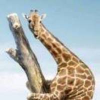 75fe98b92b2b0bcbd2f427554d550469cc135e19