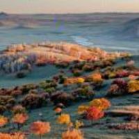 252265826858fa1fb377d23b8510d5ecb8ba7734