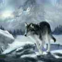 Bf168c013923a4598cc1997aeebf78f1276395f3