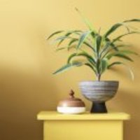 A7381cc74cac988934545e3b2028ea3e396da9d2