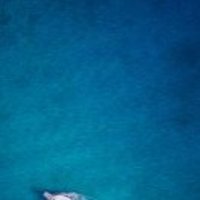 Effc717aa445d897a4f30f07514e5f811a6b8b8b