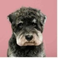 5bb8a0b790fb609fd425a4bdfad30e0fc358a7eb