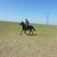 52e400cfe293384892337acdb5798188f20e30a8