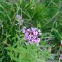 247eb2af99eed2ae5d47dae99d7263a0914d20ed