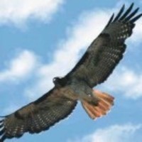 3ddfba25f756e9e9c40fce2583e36e91d49bc1ac