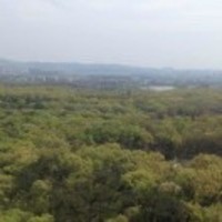 Af376aeda04d2f1f9bc9f595b93ec23034cc8c4b