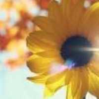 E39db98aaa7b0306fb9f5b123fed3b384a671306