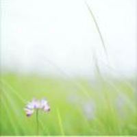 205d5e670d1983e772de0c42d65a490c48f6717a