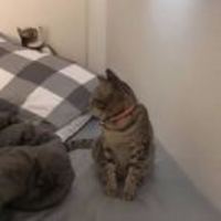 54111c0385ac24b951937f4a509674888325a417